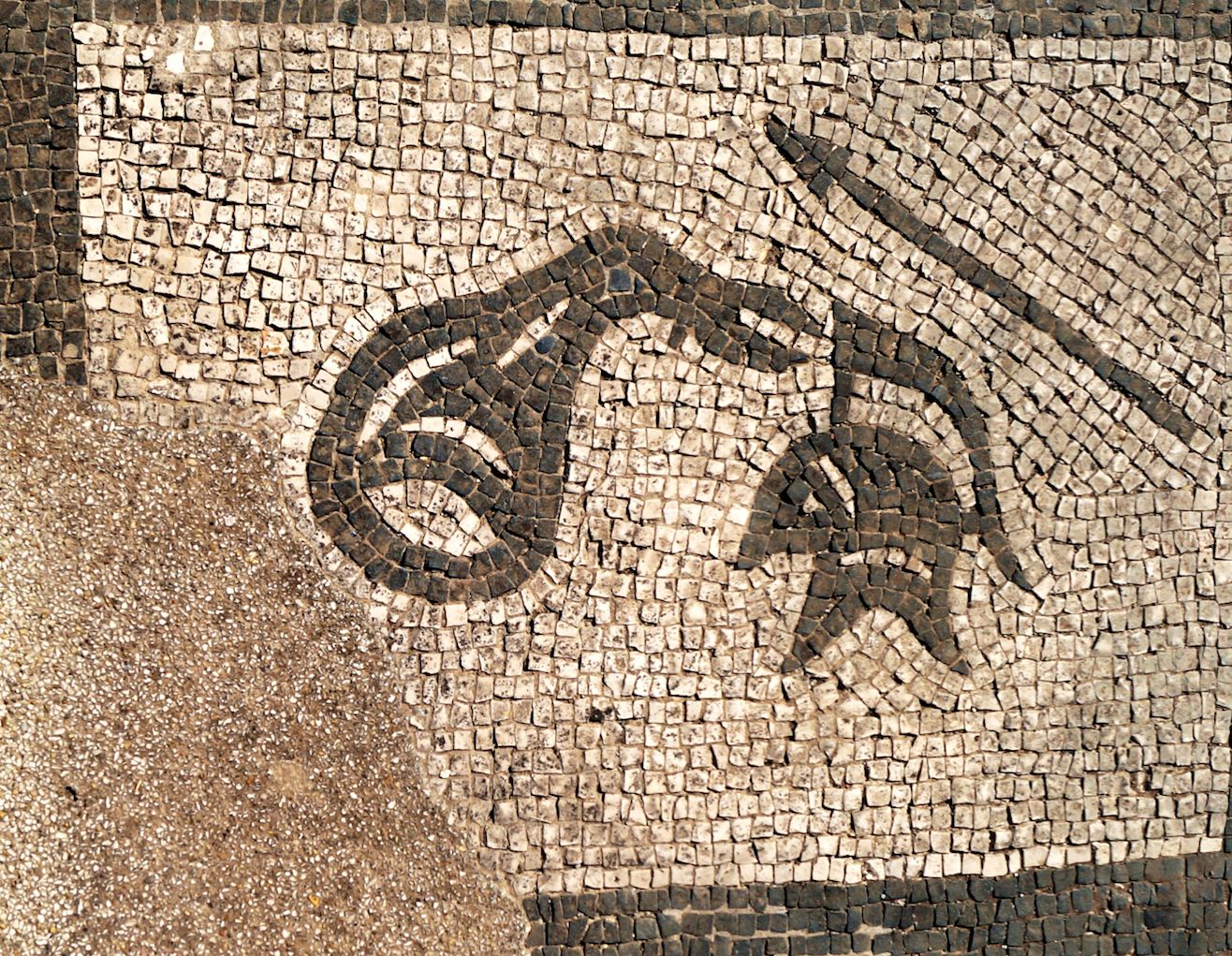 The Mystery Cult of Mithras – Time Travel Rome